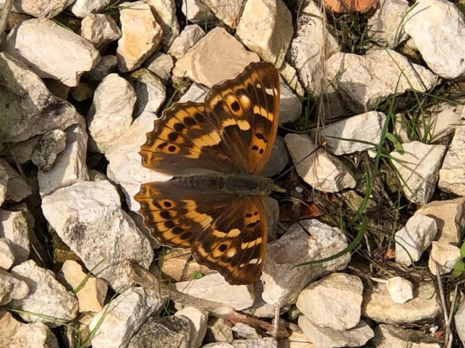 Willa Moulin De L'Hoste Larzac Zewnętrze zdjęcie